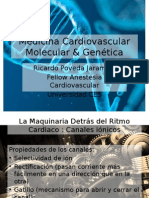 Cardiovascular Molecular Medicine & Genetics