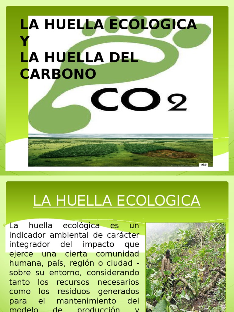 Huella Ecologica y de Carbono | PDF | Ecología | Entorno natural