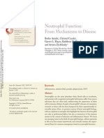 Neutrophil Function From Mechanism To Disease