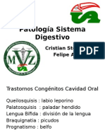 PatoLogia Sistema Digestivo