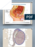 Trabajo de Biologia