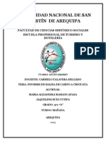 Informe de Chiguata 