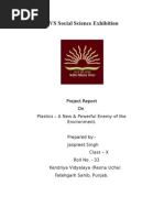 Download KVS Social Science Exhibitiondocx by Jass SN291078212 doc pdf