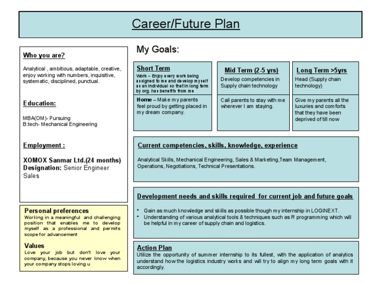 Career Plan PDF