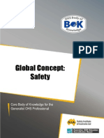5 Global Safety