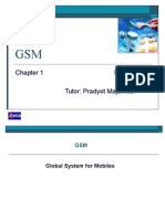 GSM Overview 