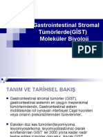 Gastrointestinal Stromal Tumorlerde Moleküler Yapı