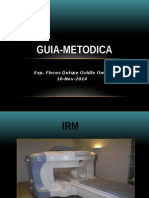 Guia Metodica-2