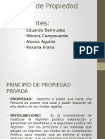 Principio de Propiedad Privada