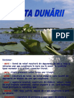 delta dunarii.ppt.pps