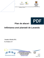 Plantatia de Lavanda Proiect FS