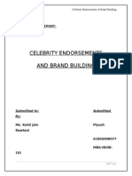 Celebrity-Endorsements-Report