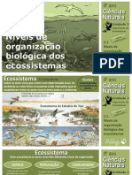 CN8 Niveis Organizacao Biologica Ecossistemas