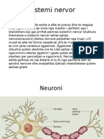 Sistemi Nervor