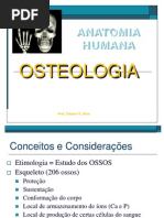 Aula 2 - Osteologia