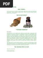 Bosanska Knjiga Mrtvih Pdf To Doc