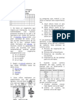 Pruebas Saber 1 Periodo Ciencias Naturales