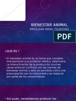 Bienestar Animal Juan