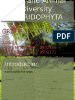 Group 5_Pteridophyta.pptx
