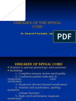 Spinal Cord Disease