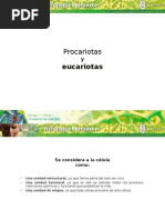 b1 m1 Procariotas Eucaroitas