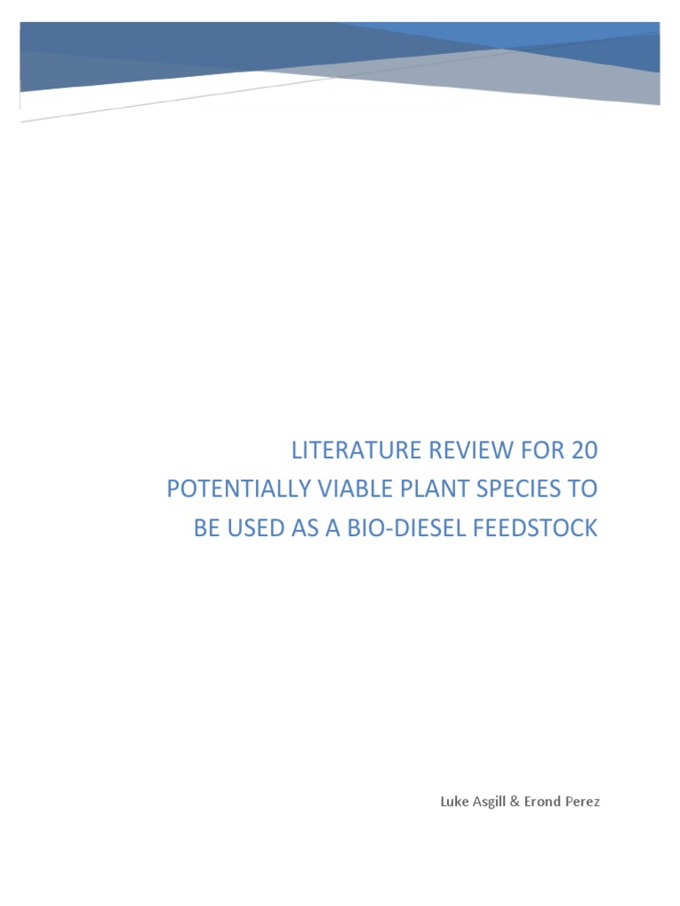 literature review on biodiesel production