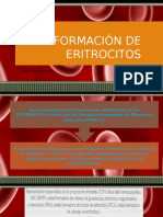 Formación de Eritrocitos