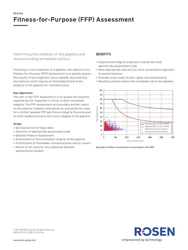 Fitness For Purpose Assessment | PDF