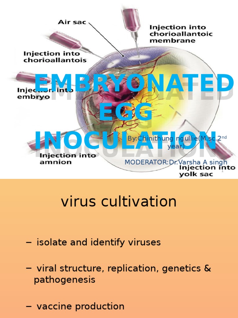 Egg Inoculation by c.ngullie Egg Virus