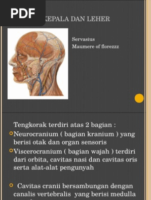 Kepala Dan Leher