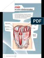 GranLibro.abdominales.sportlife179 Marzo2014 Página 06