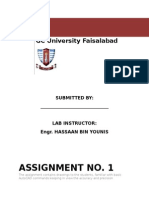 Assignment No. 1: GC University Faisalabad