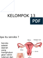 Kanker Kulit Dan Kanker Serviks