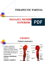 242695504-Curs-Masajul-Extremitatii-Sup.ppt