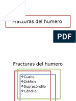 Fracturas del Humero y Antebrazo