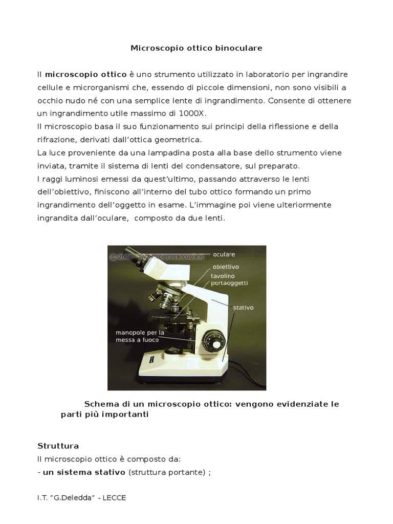 3) Microscopio Ottico Binoculare | PDF