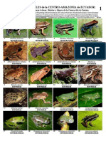 Anfibios y reptiles de la centro-amazonia de ecuador.pdf