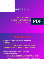 BRUCELLA