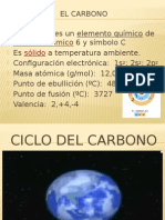 Carbono Expo