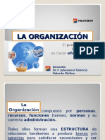 10 La Organizacion