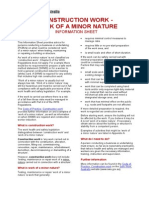 Information Sheet Work of Minor Nature