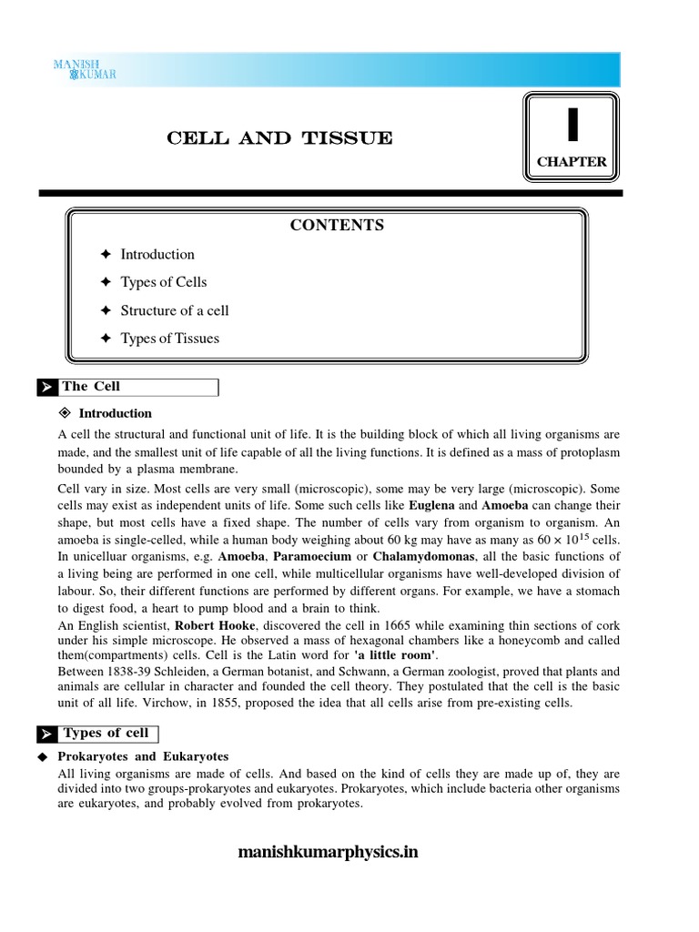 01 Cell and Tissue PDF | PDF