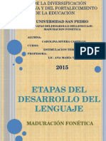 ETAPAS DEL DESARROLLO DEL LENGUAJE Prelinguistica