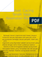 Karya Ilmiah ''Cacing Tanah''