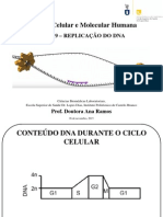 Índice AULA 9_Replicação DNA