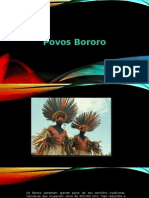 Bororo Tribo Tânia Ferreira nº19 6º B.pptx
