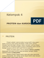 Protein Dan Karbohidrat