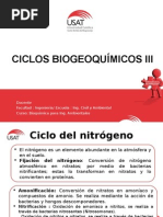 CICLOS BIOGEOQUÍMICOS