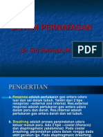 Sistem Pernafasan