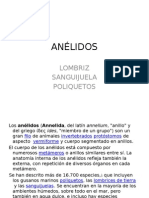 ANÉLIDOS